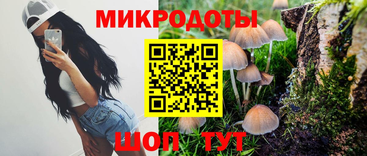 Полевской  Псилоцибиновые грибы Psilocybine cubensis  Вход с VPN 